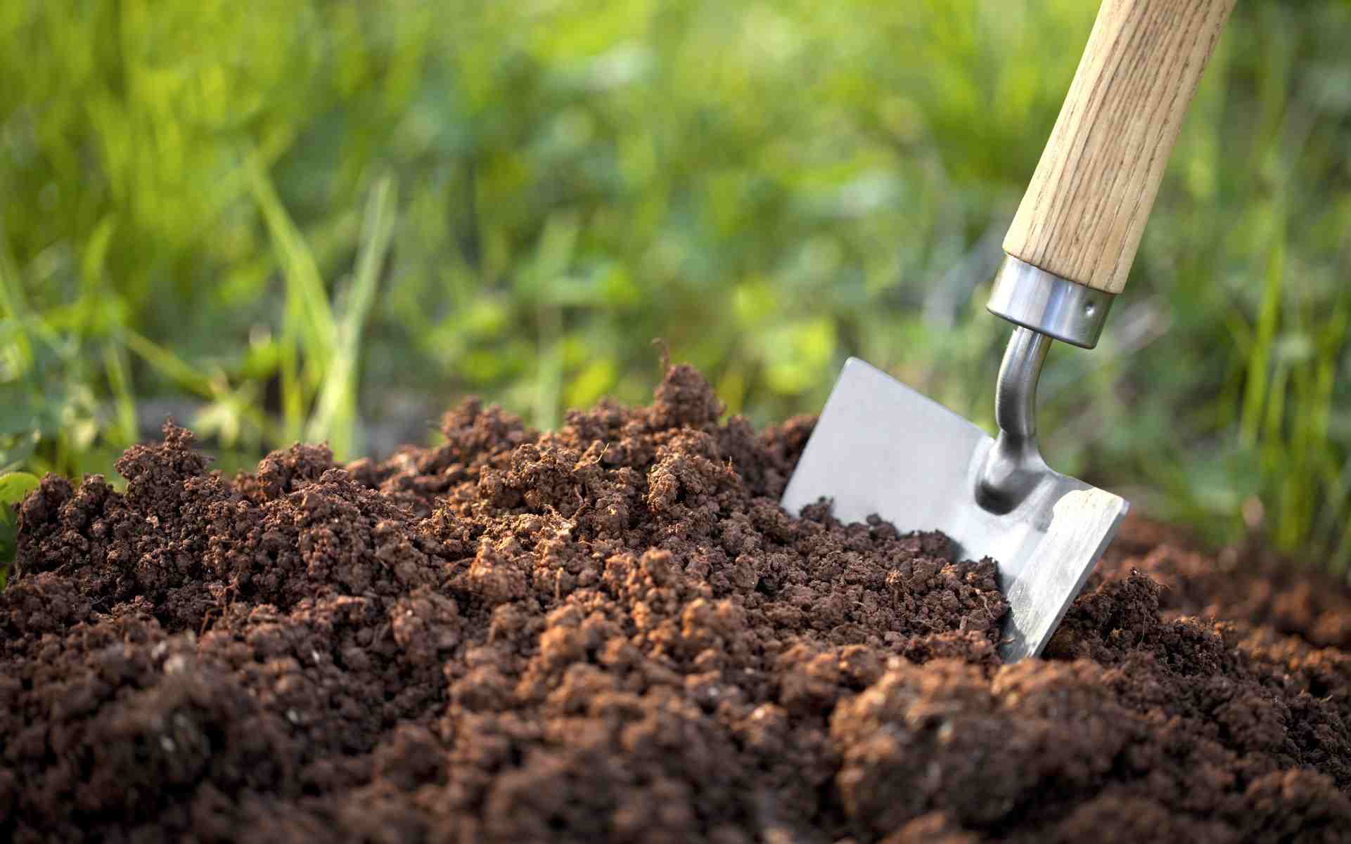 Soil with a garden trowel